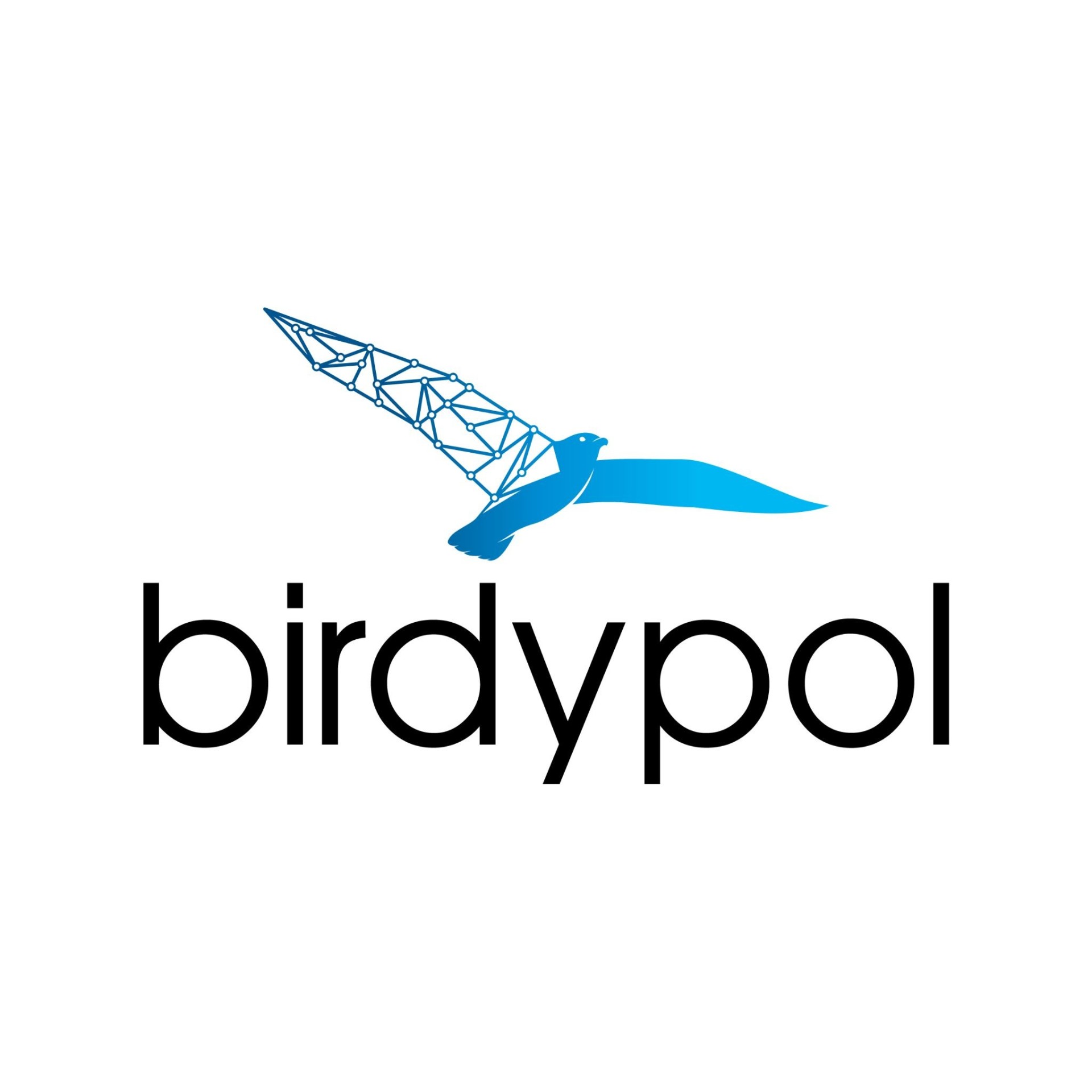 Birdypol logo
